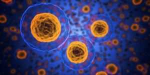 cells 1872666 1920