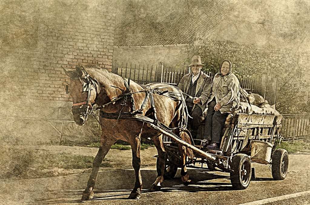 horse 2372711 1920