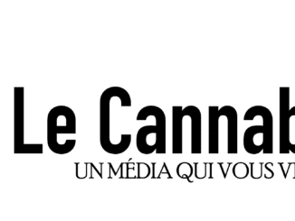 logo média fd blanc