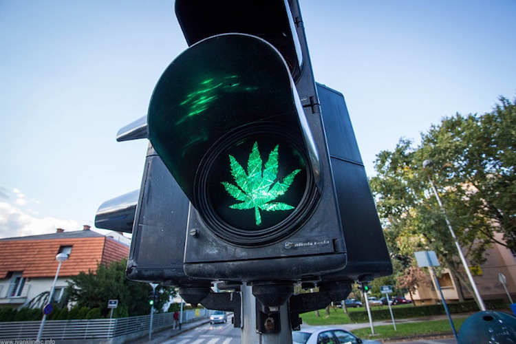 marijuana green light