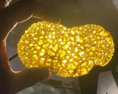 39580471 673548059682841 9130159053119422464 n