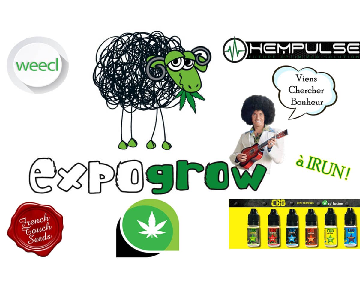 vignette LC Expogrow4