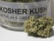 Kosher Kush Cannabis Strain 768x432