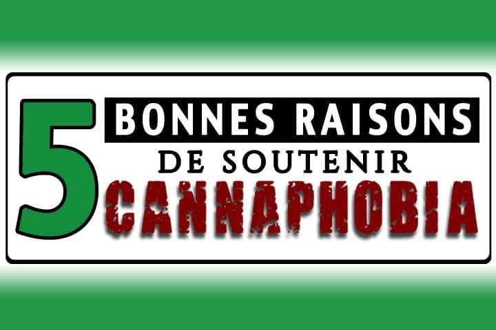 canna biste 9