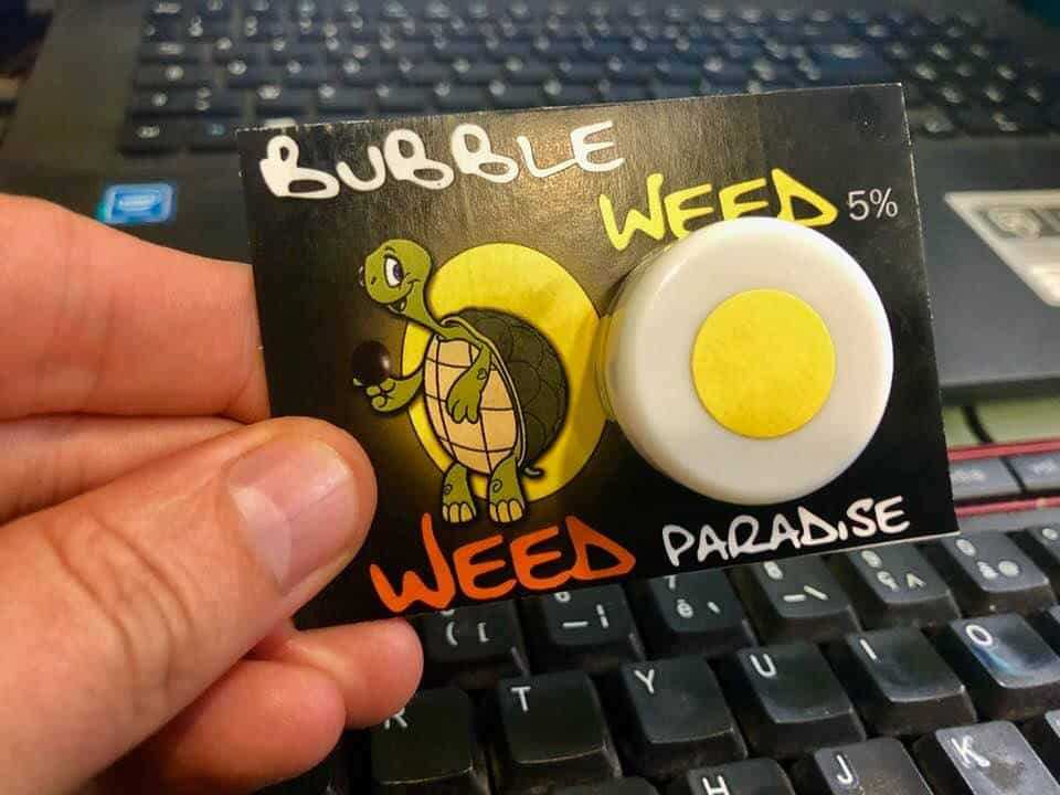 Weed Paradise.
