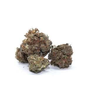 Northern Lights 2