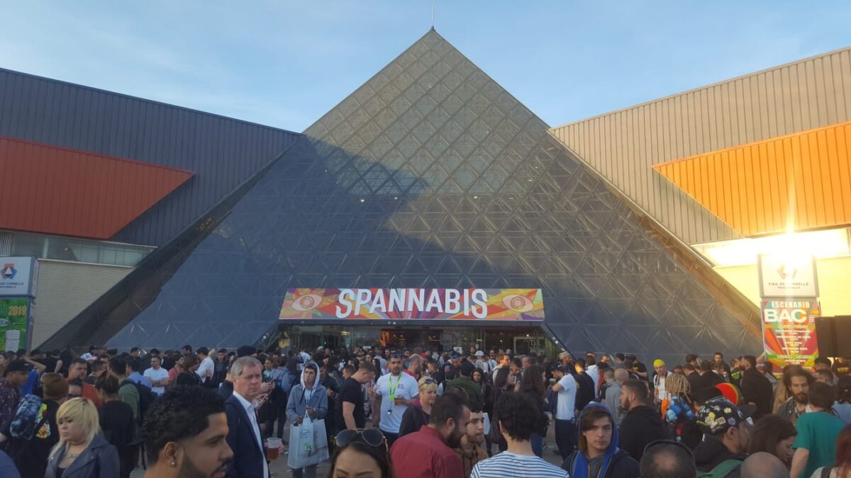 WhatsApp Image 2019 03 17 at 02.39.561