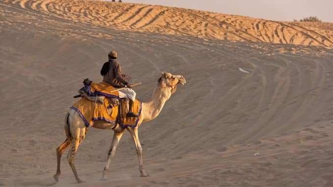 Camel ride sand dune