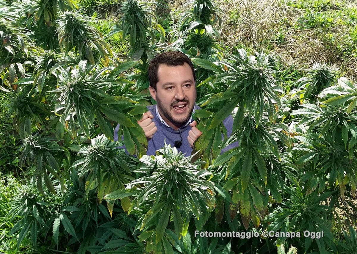 Cannabis Light Legale limitazione 05 ministero interni Salvini A