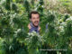 Cannabis Light Legale limitazione 05 ministero interni Salvini A