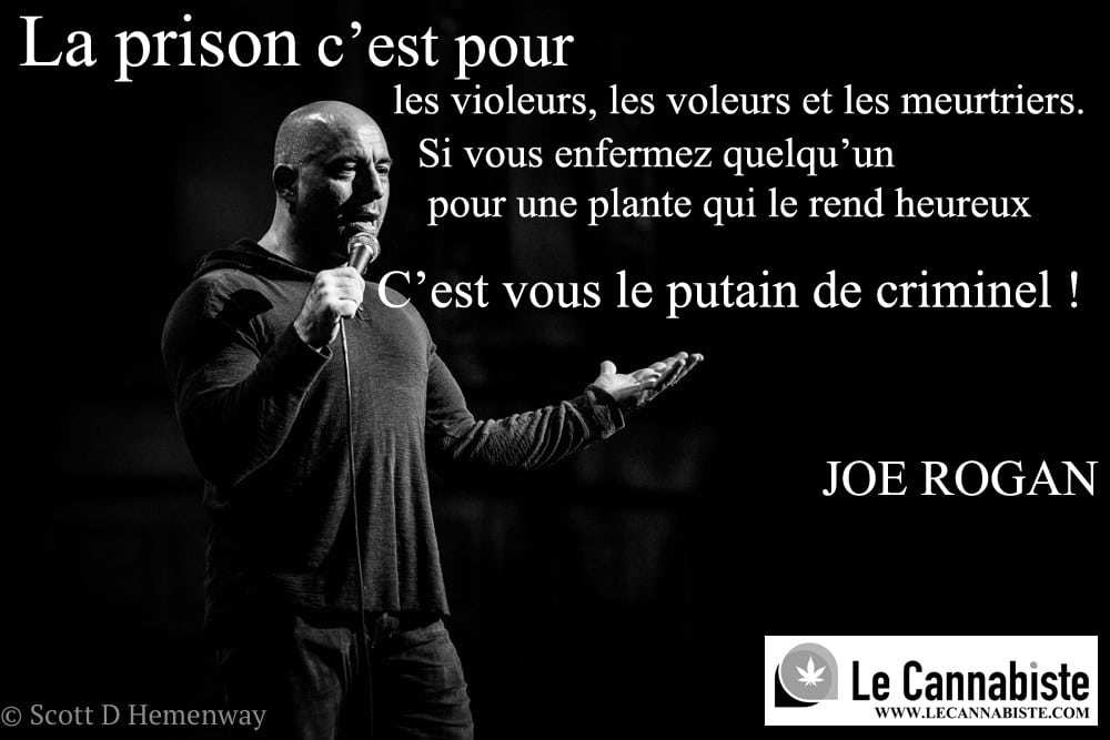 joe rogan