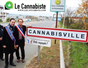 cannabisville
