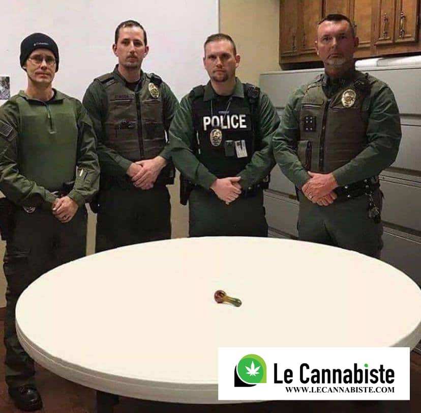 Le Cannabiste