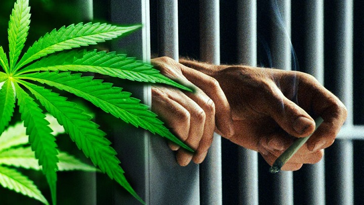 marijuana prison