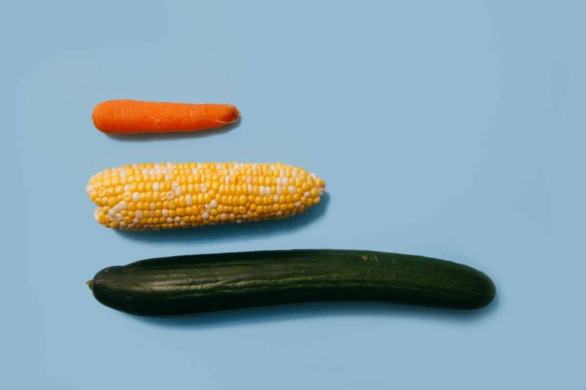 carotte, mais et courgette