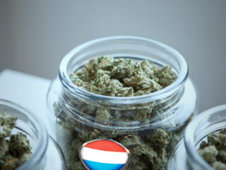 Le Cannabiste Luxembourg Image unsplash