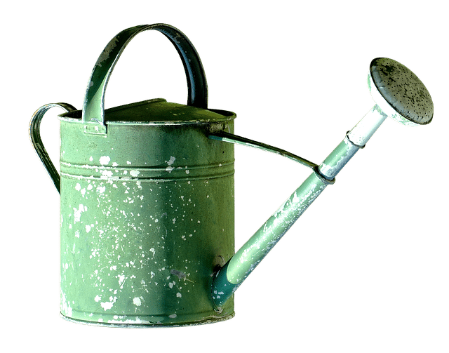 watering can 2610032 640