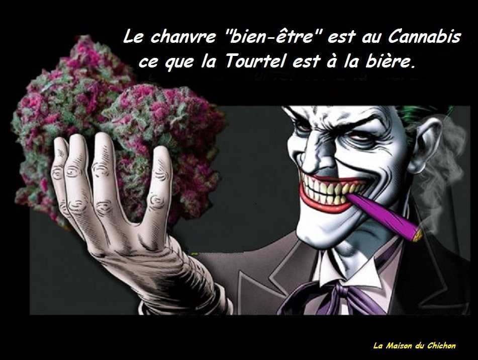 74376546 2659618437429867 3752968583890599936 n