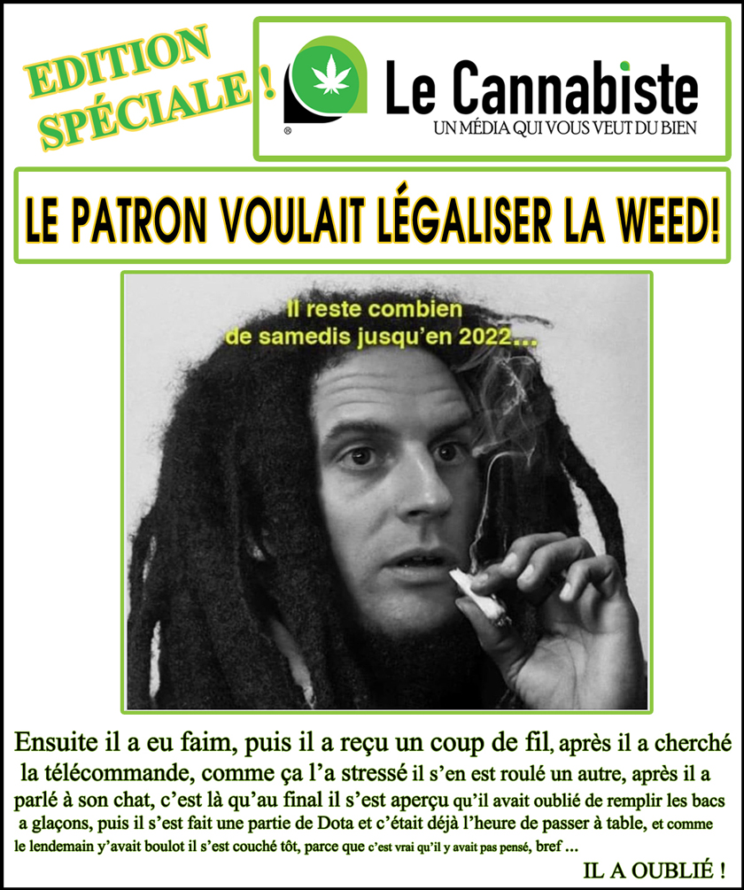Mission Parlementaire : J.B. Moreau nous répond - Le Cannabiste