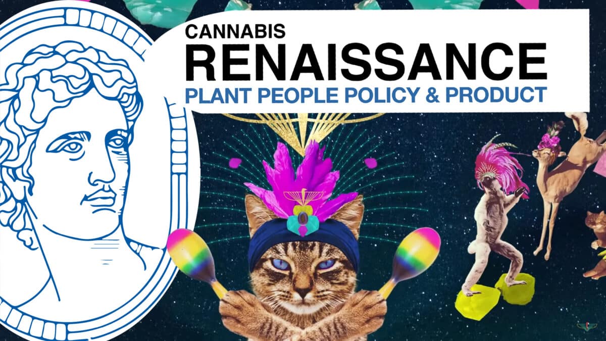 le cannabiste renaissance