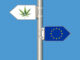 Le Cannabiste CBD EU