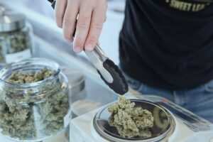 add weed h3PWUqxpP 0 unsplash petit