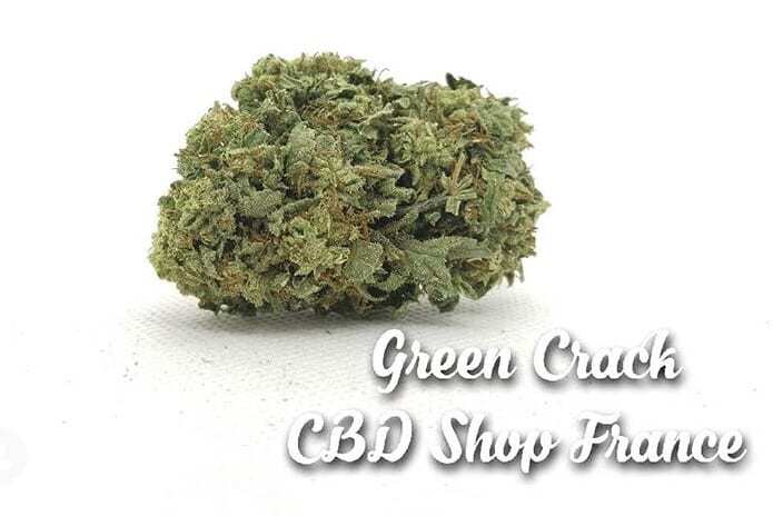 Image CBD Shop France - Tous droits réservés