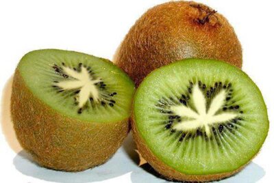 kiwi fruit cannabis leaf