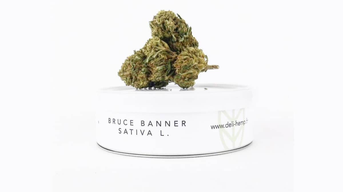Le Cannabiste BOUC Deli Hemp