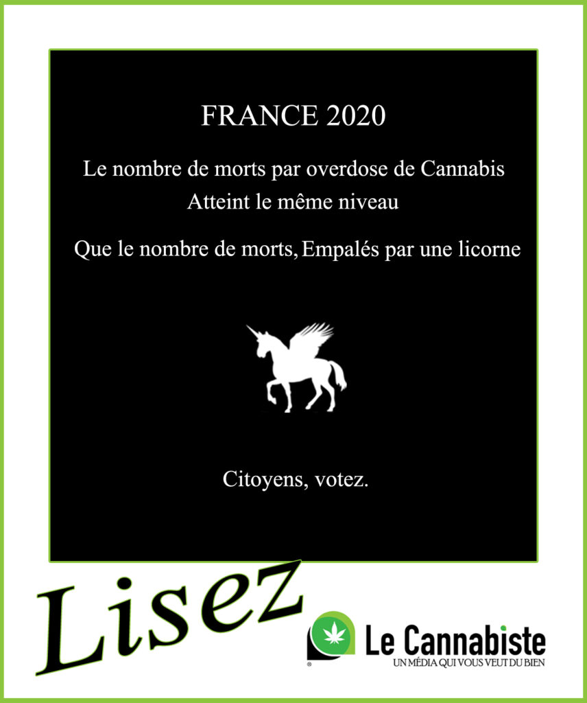 Le Cannabiste Licorne 2020