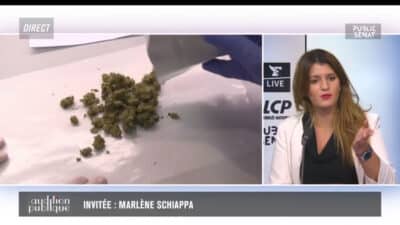 Le Cannabiste Schiappa Cannabis