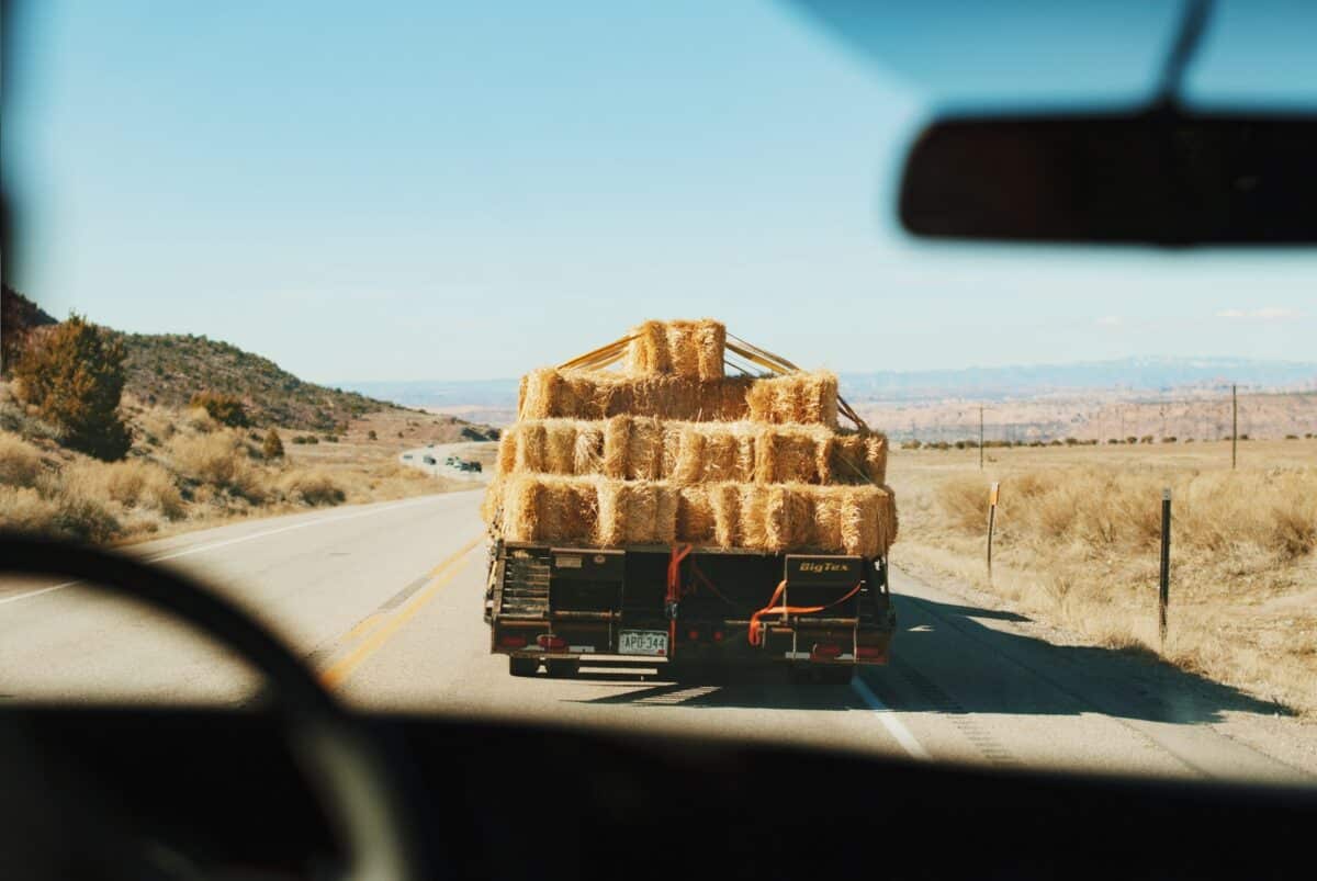 Le Cannabiste - Tombé du Camion