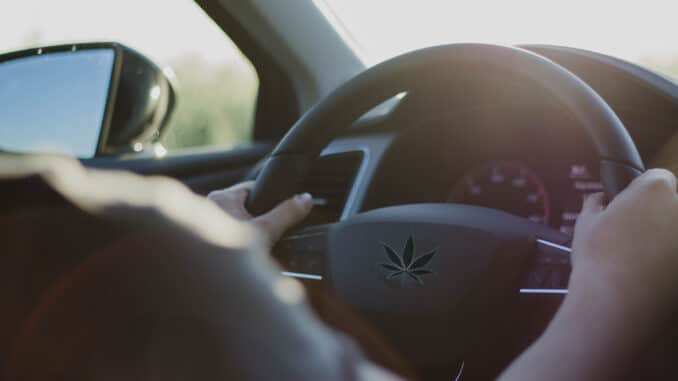 Le Cannabiste - étude conduite CBD THC