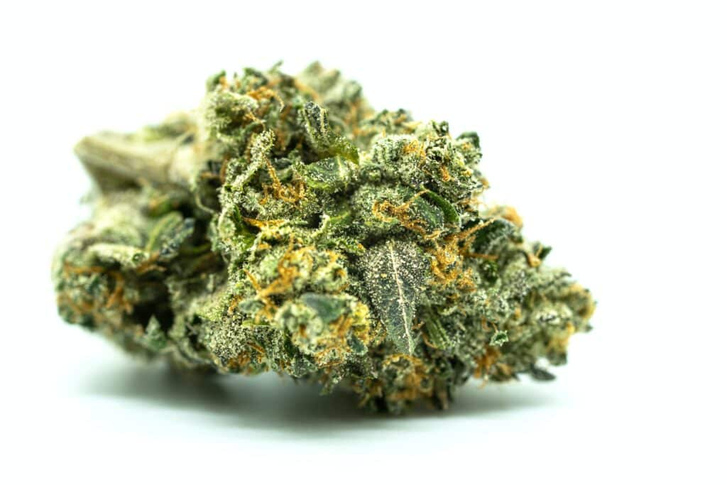 fleur-de-Cannabis-image-Avery-Meeker-Unsplash