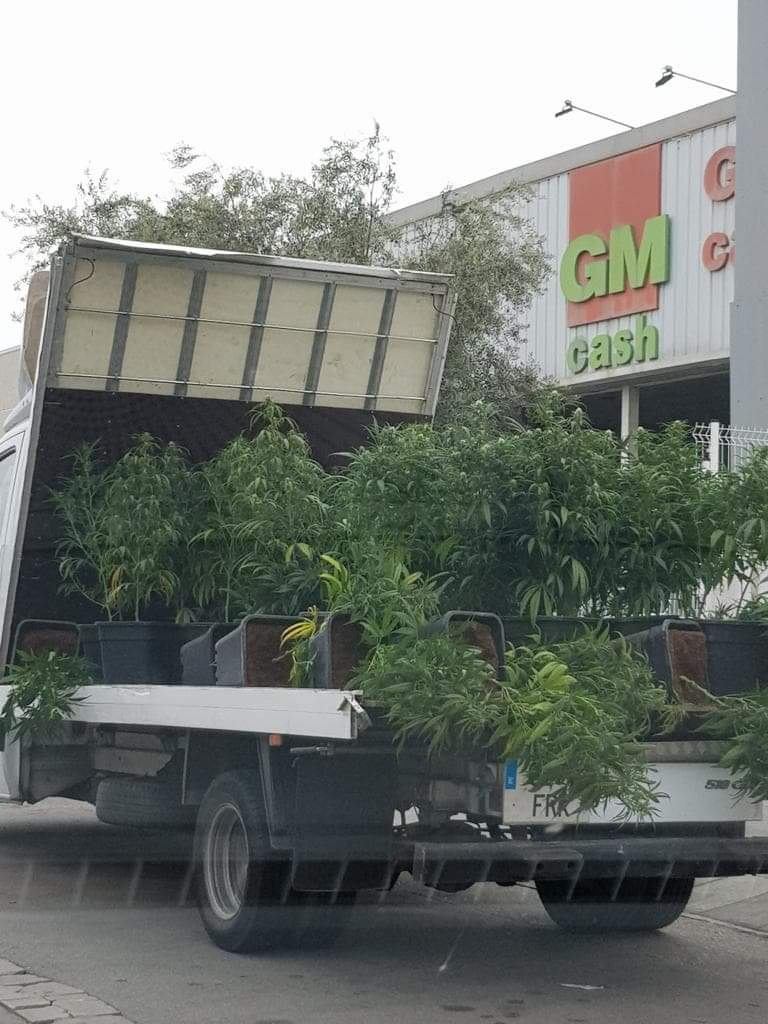 Cannabis-renversé-camion-pont-accident