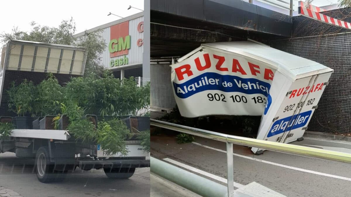 Lecannabiste Cannabis Camion Pont Accident