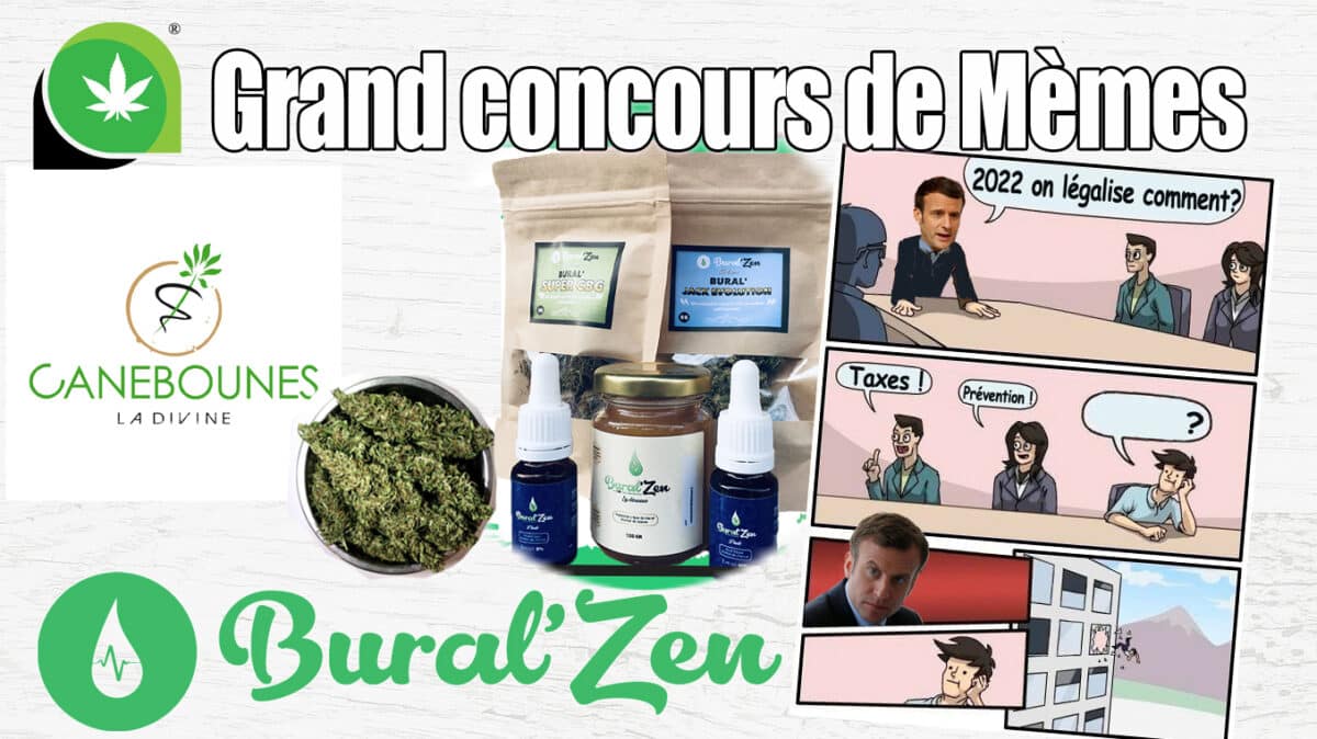 concoursdememes