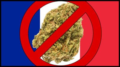 le cannabiste cbd fleurs interdite