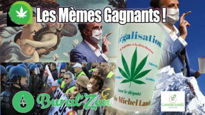 gagnants meme lambert verre assemblee cannabis