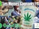 gagnants meme lambert verre assemblee cannabis