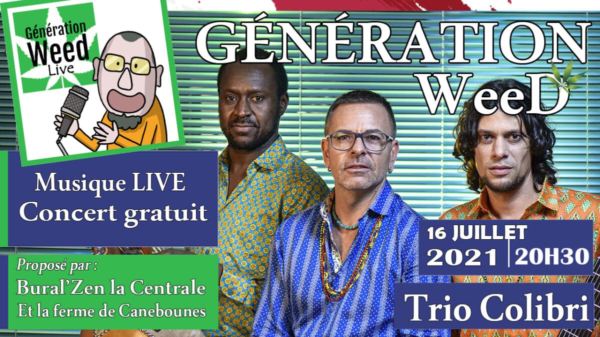 Generation weed live trio colibri
