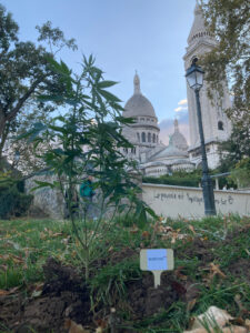 Botanys a Paris 3