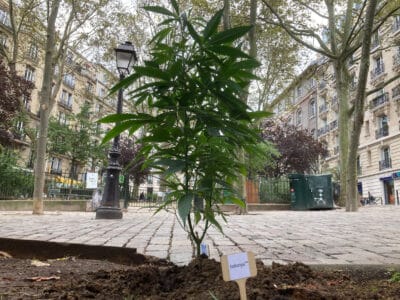 Botanys a Paris 4