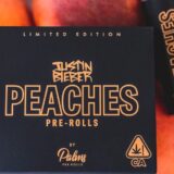 peaches2 copy 1