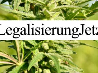 le cannabiste legalisation allemagne LegalisierungJetzt