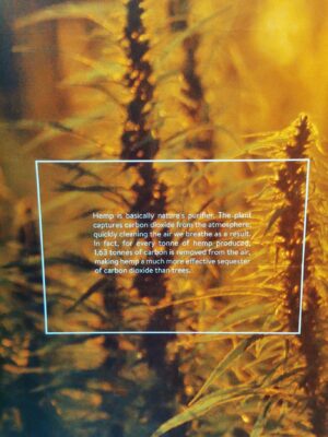 Cannabis Museum Zagreb