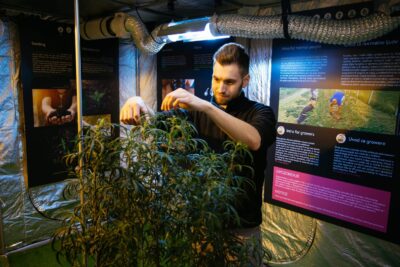 Cannabis Museum Zagreb