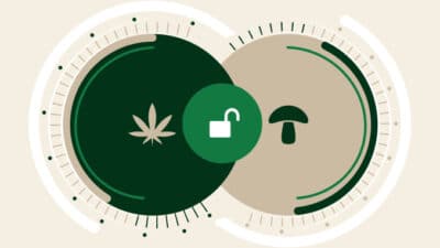 lecannabiste cannabotech