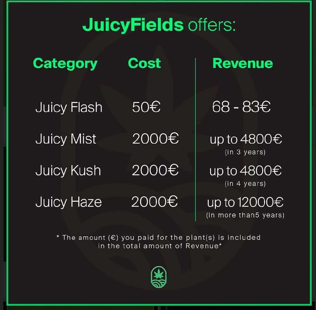 Juicy Fields : des formules à la carte, pour des revenus invraisemblables