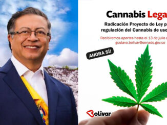 lecannabiste legalisation colombie
